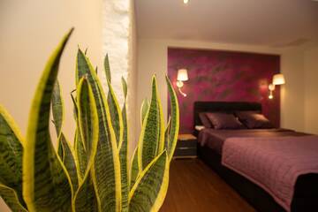 Фото Апарт-отели P54 Apartment г. Пайде 2